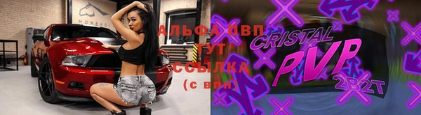 гашик Нефтегорск