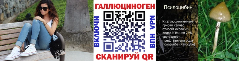 Псилоцибиновые грибы Psilocybine cubensis  Купить закладки  Макаров 